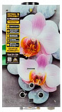 Газовая колонка Sabio 10 GP-orchid