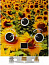 2) - Фото газовая колонка sabio 10 gp-sunflower