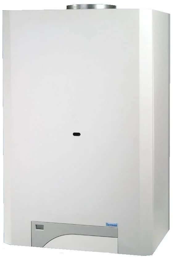 Котел газовий Thermona THERM DUO 50 FT (+труба)