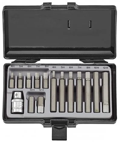 Набір біт 10мм 6-ти гранний HEX 4-12мм 14 од. Force (4155)