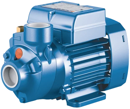 Поверхневий насос PEDROLLO PKm 100