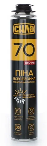 Піна монтажна професійна всесезонна 70л 850мл Сила (699509)