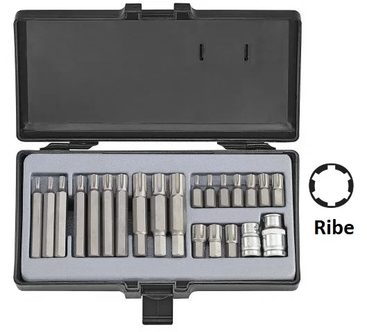 Набір біт 10 мм Ribe М4-М14 22 од. Force (4225)