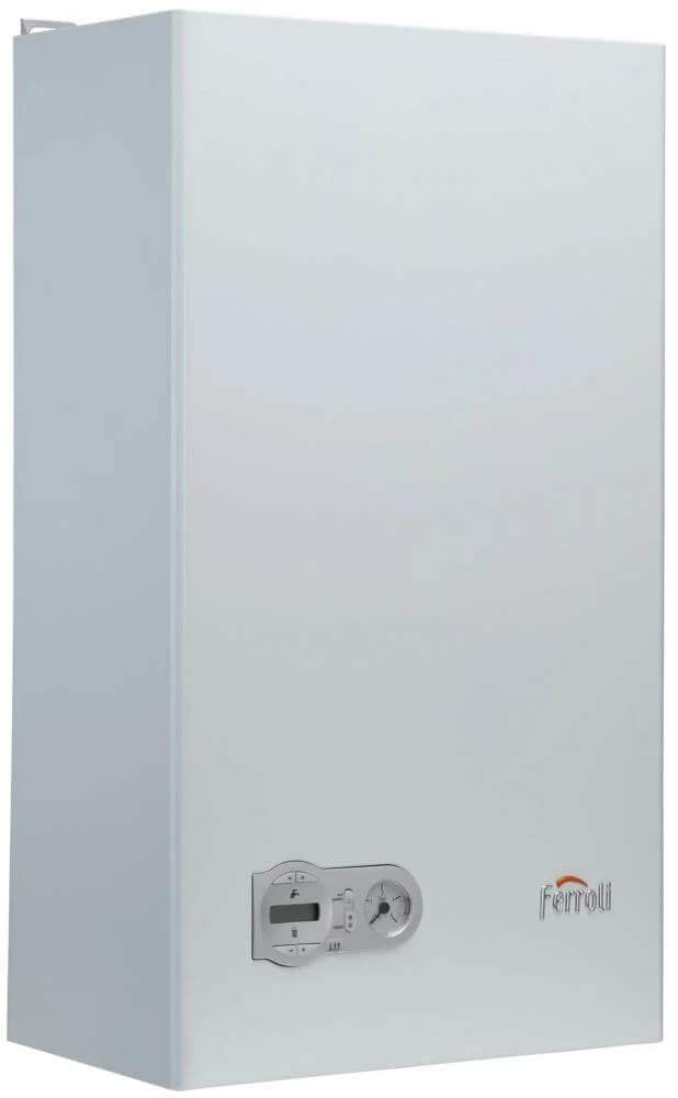 Котел газовий Ferroli Domiproject C D