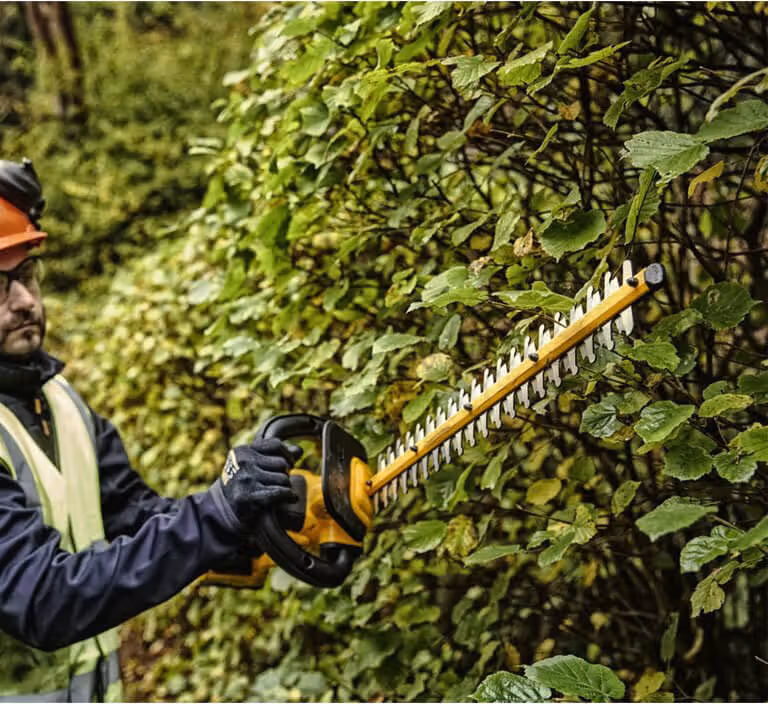 Кусторез со штангой DeWALT DCMPH566P1 - фото 7