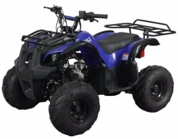 Квадроцикл Spark SP110-3