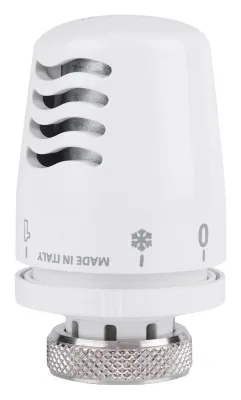 Термоголовка Icma 821101AC20
