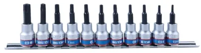 Набор бит King Tony 3/8" L50мм TORX T8H-T50H с отв. 11ед. (3131PR8)