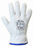 Рукавички зимові шкіряні на флісовій підкладці Alpo Trident (4210)