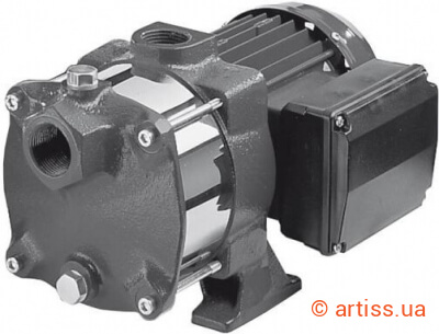 Купити Ebara Compact AM/8 насос поверхневий Фото поверхностный насос ebara compact am/8